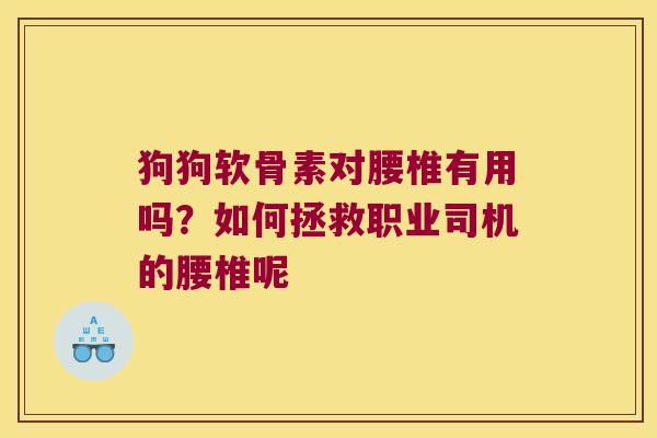 狗狗软骨素对腰椎有用吗？如何拯救职业司机的腰椎呢