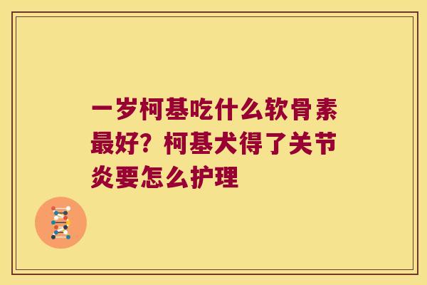 一岁柯基吃什么软骨素好？柯基犬得了要怎么护理