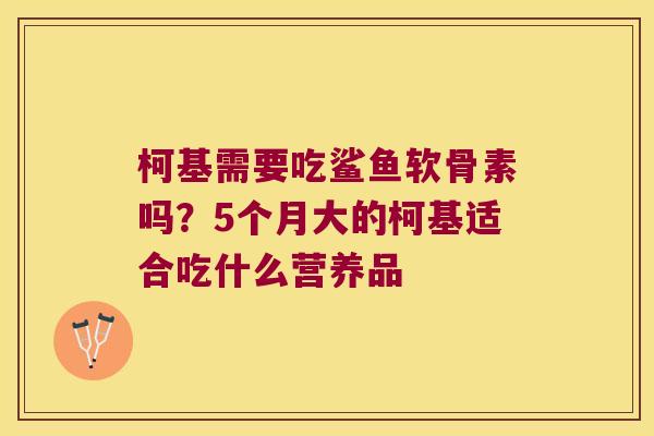柯基需要吃鲨鱼软骨素吗?5个月大的柯基适合吃什么营养品 柯基需要吃鲨鱼软骨素吗?5个月大的柯基适合吃什么营养品