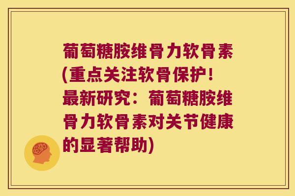 葡萄糖胺维骨力软骨素(重点关注软骨保护！新研究：葡萄糖胺维骨力软骨素对关节健康的显著帮助)