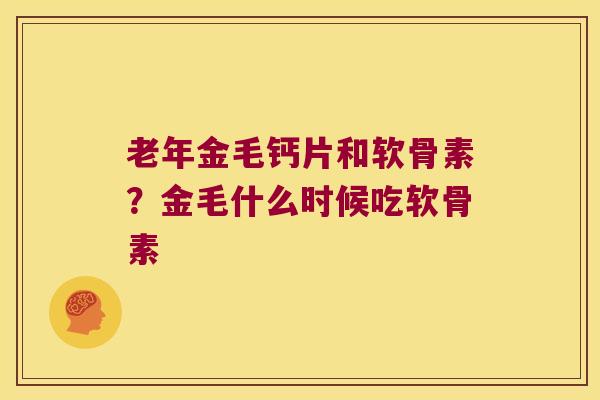 老年金毛钙片和软骨素？金毛什么时候吃软骨素