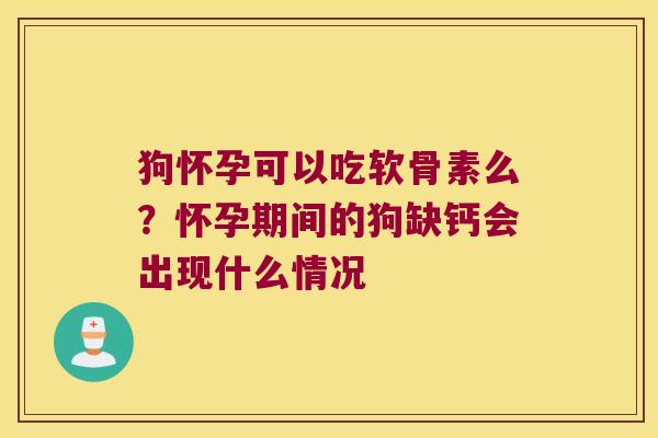 狗怀孕可以吃软骨素么？怀孕期间的狗缺钙会出现什么情况
