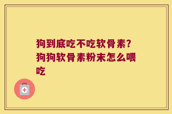 狗到底吃不吃软骨素？狗狗软骨素粉末怎么喂吃