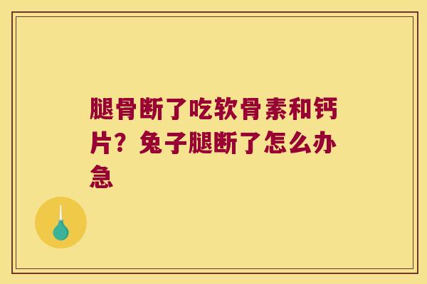 腿骨断了吃软骨素和钙片？兔子腿断了怎么办急