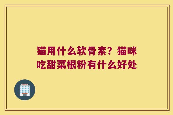 猫用什么软骨素?猫咪吃甜菜根粉有什么好处 猫用什么软骨素?猫咪吃甜菜根粉有什么好处
