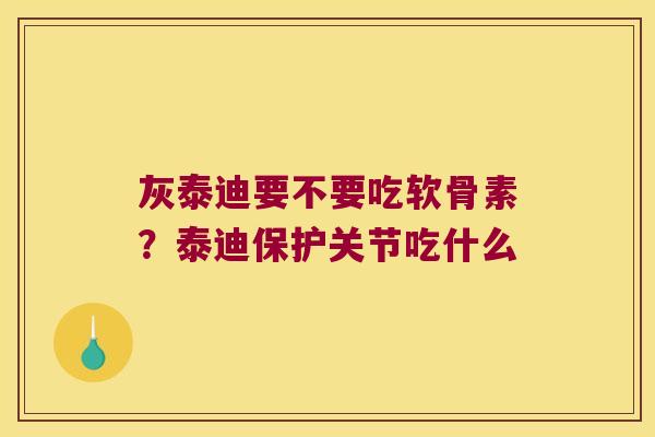 灰泰迪要不要吃软骨素？泰迪保护关节吃什么