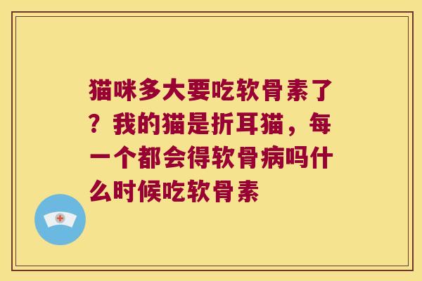 猫咪多大要吃软骨素了？我的猫是折耳猫，每一个都会得软骨吗什么时候吃软骨素