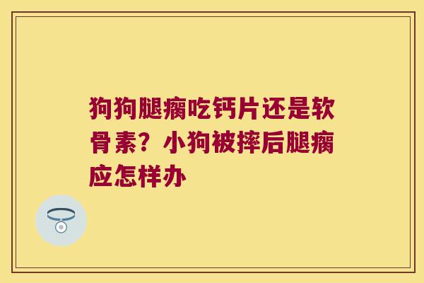 狗狗腿瘸吃钙片还是软骨素？小狗被摔后腿瘸应怎样办