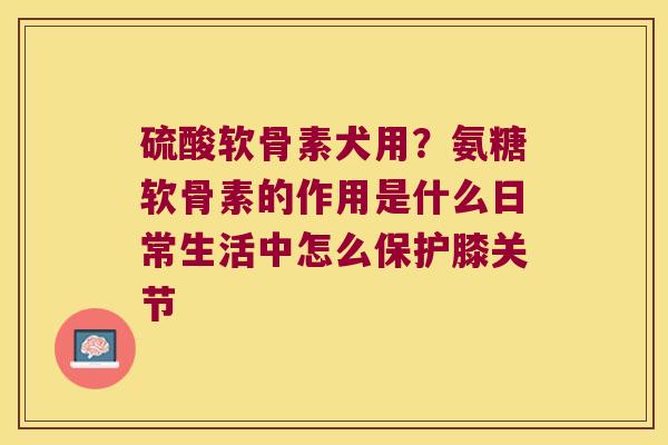 硫酸软骨素犬用？氨糖软骨素的作用是什么日常生活中怎么保护膝关节