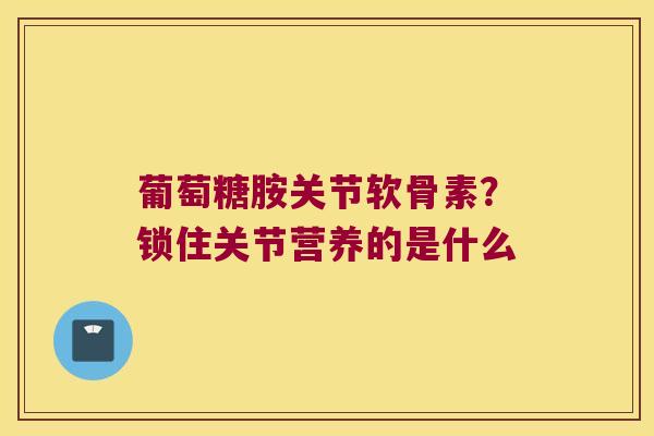 葡萄糖胺关节软骨素?锁住关节营养的是什么 葡萄糖胺关节软骨素?锁住关节营养的是什么