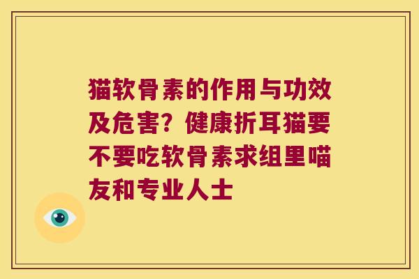 猫软骨素的作用与功效及危害？健康折耳猫要不要吃软骨素求组里喵友和专业人士
