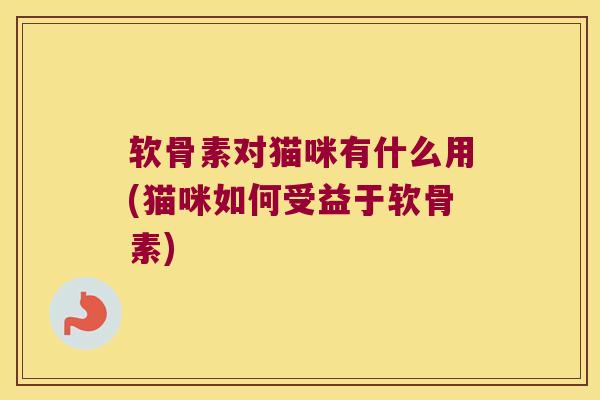 软骨素对猫咪有什么用(猫咪如何受益于软骨素) 软骨素对猫咪有什么用(猫咪如何受益于软骨素)