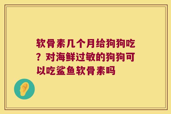 软骨素几个月给狗狗吃?对海鲜的狗狗可以吃鲨鱼软骨素吗 软骨素几个月给狗狗吃?对海鲜的狗狗可以吃鲨鱼软骨素吗