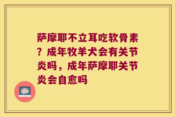 萨摩耶不立耳吃软骨素？成年牧羊犬会有吗，成年萨摩耶会自愈吗