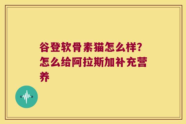 谷登软骨素猫怎么样?怎么给阿拉斯加补充营养 谷登软骨素猫怎么样?怎么给阿拉斯加补充营养