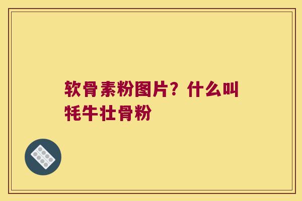 软骨素粉图片?什么叫牦牛壮骨粉 软骨素粉图片?什么叫牦牛壮骨粉
