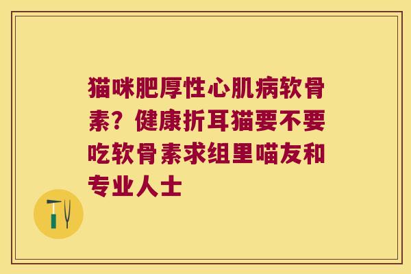 猫咪肥厚性心肌软骨素？健康折耳猫要不要吃软骨素求组里喵友和专业人士
