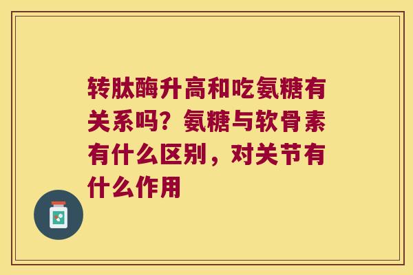 转肽酶升高和吃氨糖有关系吗？氨糖与软骨素有什么区别，对关节有什么作用