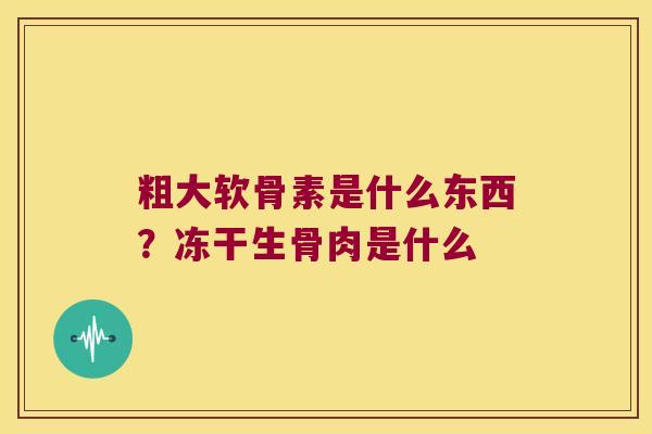 粗大软骨素是什么东西?冻干生骨肉是什么 粗大软骨素是什么东西?冻干生骨肉是什么