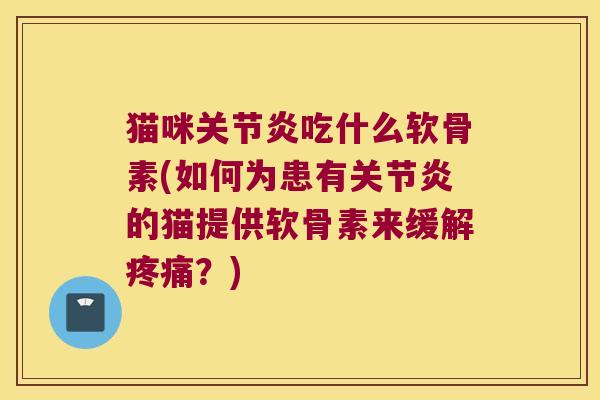 猫咪吃什么软骨素(如何为患有的猫提供软骨素来缓解？)
