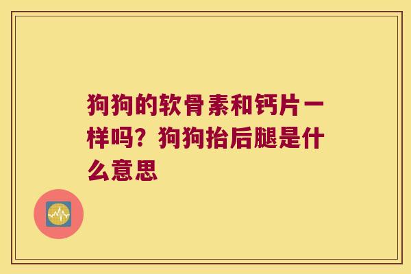 狗狗的软骨素和钙片一样吗？狗狗抬后腿是什么意思