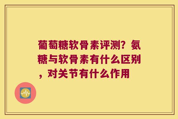 葡萄糖软骨素评测？氨糖与软骨素有什么区别，对关节有什么作用