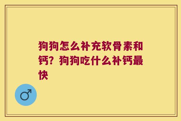 狗狗怎么补充软骨素和钙?狗狗吃什么补钙快 狗狗怎么补充软骨素和钙?狗狗吃什么补钙快