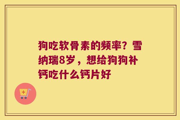 狗吃软骨素的频率?雪纳瑞8岁,想给狗狗补钙吃什么钙片好 狗吃软骨素的频率?雪纳瑞8岁,想给狗狗补钙吃什么钙片好