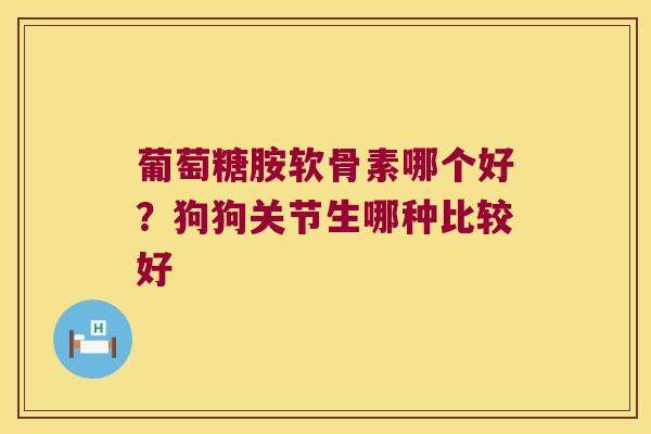 葡萄糖胺软骨素哪个好？狗狗关节生哪种比较好