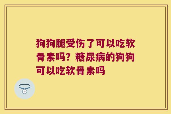 狗狗腿受伤了可以吃软骨素吗?的狗狗可以吃软骨素吗 狗狗腿受伤了可以吃软骨素吗?的狗狗可以吃软骨素吗
