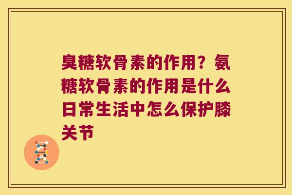 臭糖软骨素的作用?氨糖软骨素的作用是什么日常生活中怎么保护膝关节 臭糖软骨素的作用?氨糖软骨素的作用是什么日常生活中怎么保护膝关节