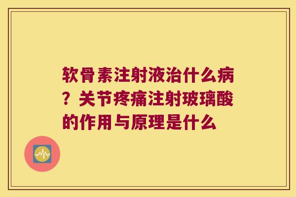 软骨素注射液什么？关节注射玻璃酸的作用与原理是什么