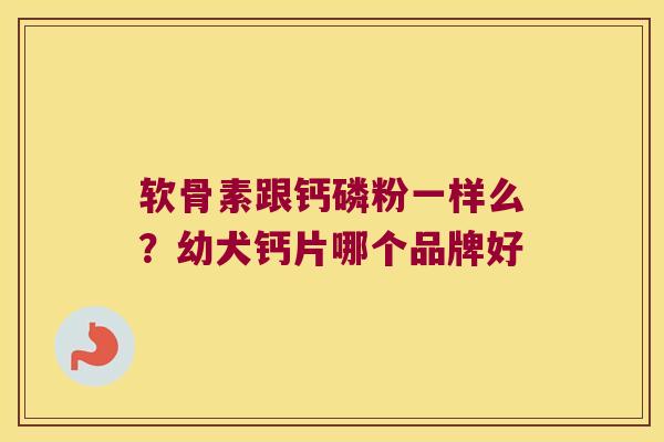 软骨素跟钙磷粉一样么？幼犬钙片哪个品牌好