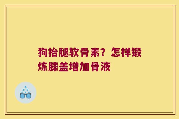 狗抬腿软骨素?怎样锻炼膝盖增加骨液 狗抬腿软骨素?怎样锻炼膝盖增加骨液