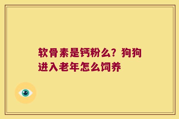 软骨素是钙粉么？狗狗进入老年怎么饲养