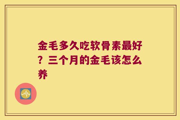 金毛多久吃软骨素好?三个月的金毛该怎么养 金毛多久吃软骨素好?三个月的金毛该怎么养