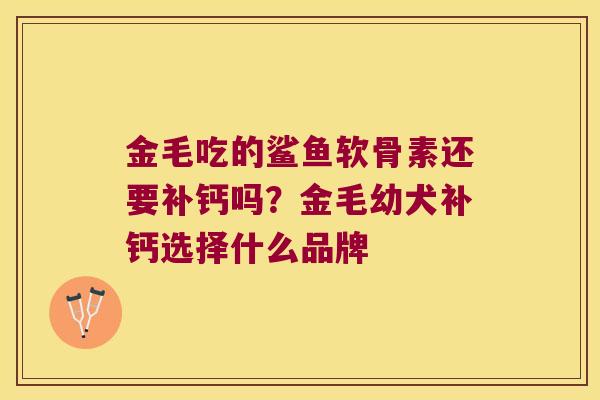 金毛吃的鲨鱼软骨素还要补钙吗？金毛幼犬补钙选择什么品牌