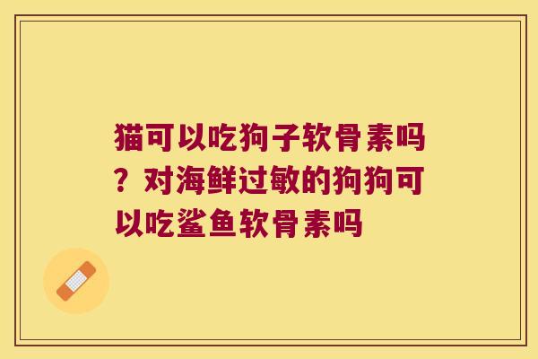 猫可以吃狗子软骨素吗？对海鲜的狗狗可以吃鲨鱼软骨素吗