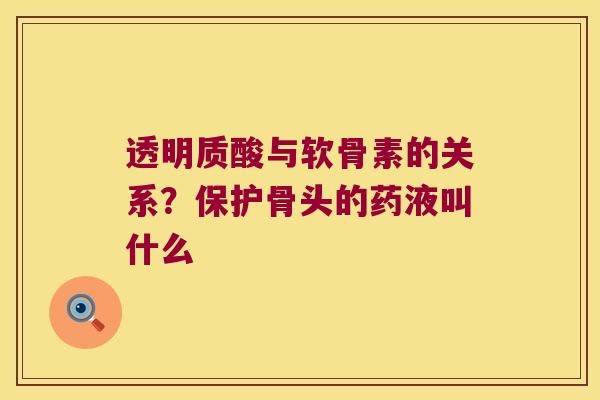 透明质酸与软骨素的关系?保护骨头的药液叫什么 透明质酸与软骨素的关系?保护骨头的药液叫什么