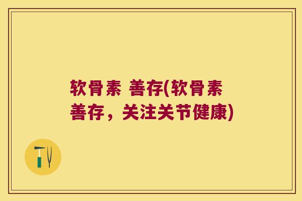 软骨素 善存(软骨素善存，关注关节健康)