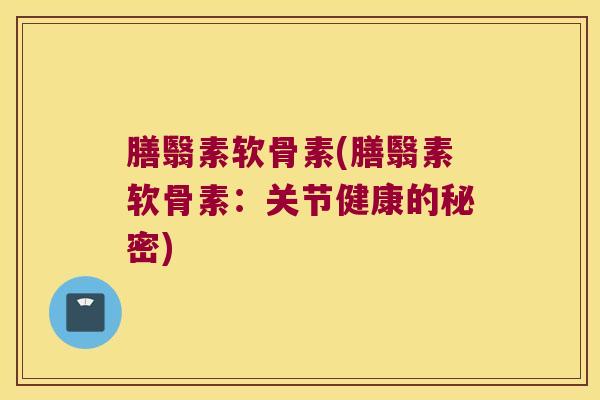 膳翳素软骨素(膳翳素软骨素：关节健康的秘密)