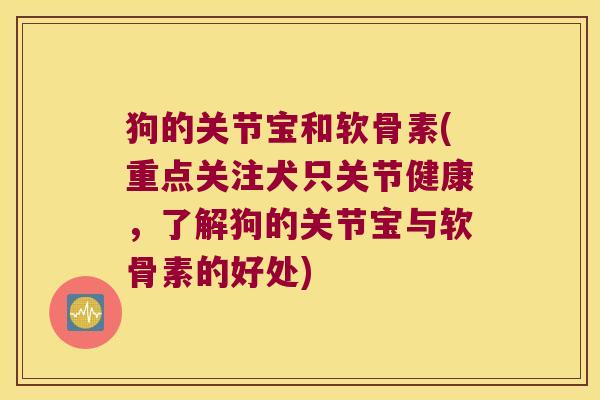 狗的关节宝和软骨素(重点关注犬只关节健康，了解狗的关节宝与软骨素的好处)