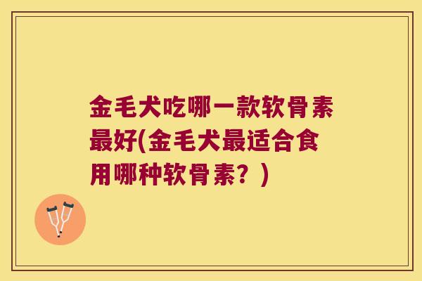 金毛犬吃哪一款软骨素好(金毛犬适合食用哪种软骨素？)