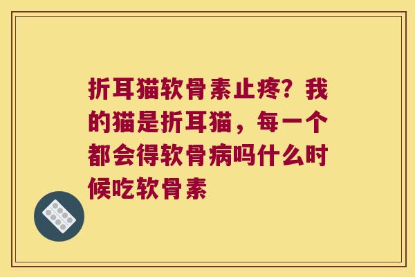 折耳猫软骨素止疼？我的猫是折耳猫，每一个都会得软骨吗什么时候吃软骨素