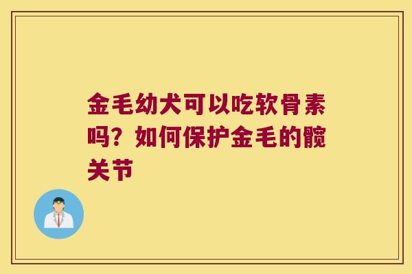 金毛幼犬可以吃软骨素吗?如何保护金毛的髋关节 金毛幼犬可以吃软骨素吗?如何保护金毛的髋关节
