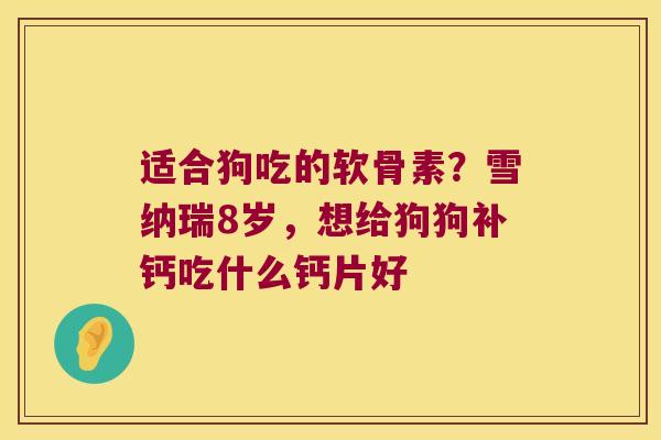 适合狗吃的软骨素?雪纳瑞8岁,想给狗狗补钙吃什么钙片好 适合狗吃的软骨素?雪纳瑞8岁,想给狗狗补钙吃什么钙片好