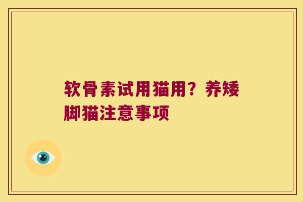 软骨素试用猫用？养矮脚猫注意事项