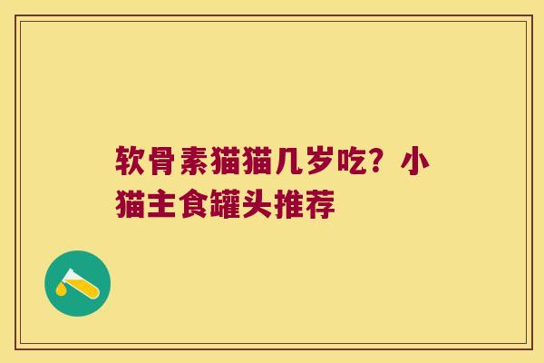 软骨素猫猫几岁吃?小猫主食罐头推荐 软骨素猫猫几岁吃?小猫主食罐头推荐