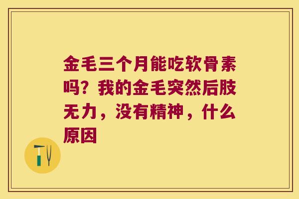 金毛三个月能吃软骨素吗?我的金毛突然后肢无力,没有精神,什么原因 金毛三个月能吃软骨素吗?我的金毛突然后肢无力,没有精神,什么原因