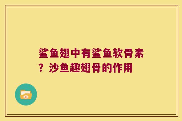 鲨鱼翅中有鲨鱼软骨素？沙鱼趣翅骨的作用